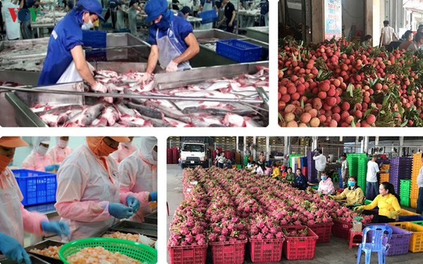 ADB: 3 chiến lược mấu chốt để Việt Nam đạt mục tiêu tăng trưởng